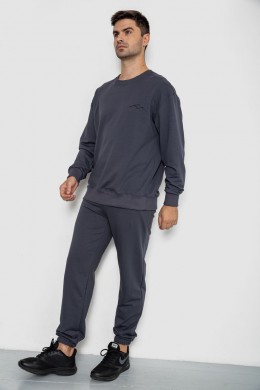 Спорт костюм мужской демисезонный, цвет серый, 241R176-1