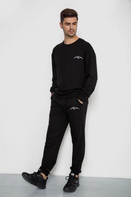 Спортивный демисезонный мужской костюм, цвет черный, 241R176