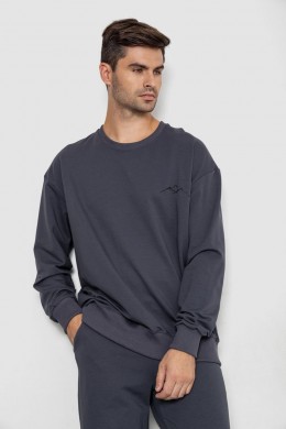 Спортивный демисезонный мужской костюм, цвет серый, 241R176