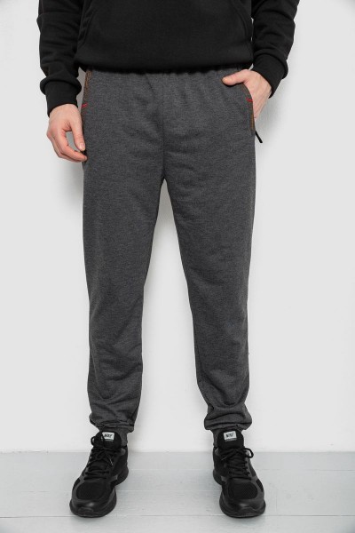 Спортивные штаны мужские, цвет серый, 244R429
