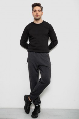 Спортивные штаны мужские на флисе, цвет серый, 244R41748