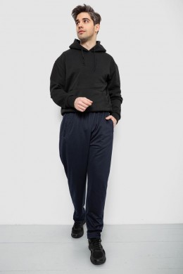 Спортивні штани чоловічі, колір синій, 244R41399