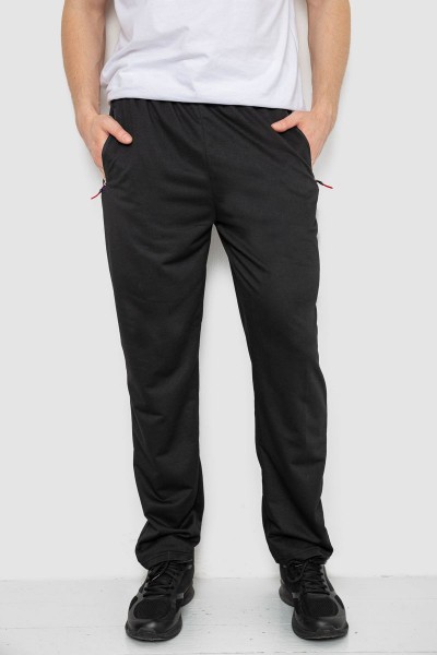 Спортивные штаны мужские, цвет черный, 244R41734