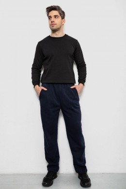 Спортивные штаны мужские на флисе, цвет синий, 244R41715