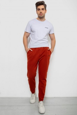 Спортивные штаны мужские на флисе, цвет терракотовый, 238R57256-1