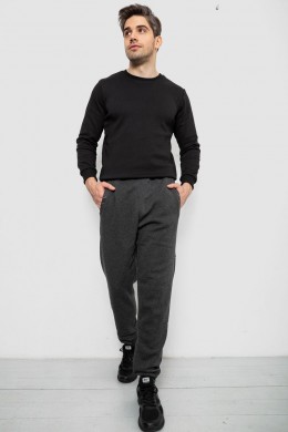 Спортивные штаны мужские на флисе, цвет серый, 244R41553