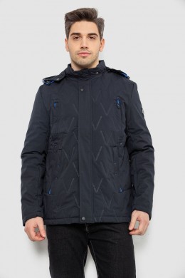 Куртка мужская демисезонная с капюшоном, цвет синий, 244RL9159AL