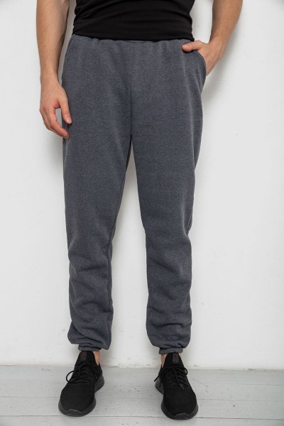 Спортивные штаны мужские на флисе, цвет серый, 238R58629