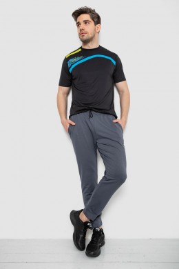 Спортивные штаны мужские демисезонные, цвет серый, 241R0652