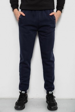 Спортивные штаны мужские на флисе, цвет синий, 244R41553
