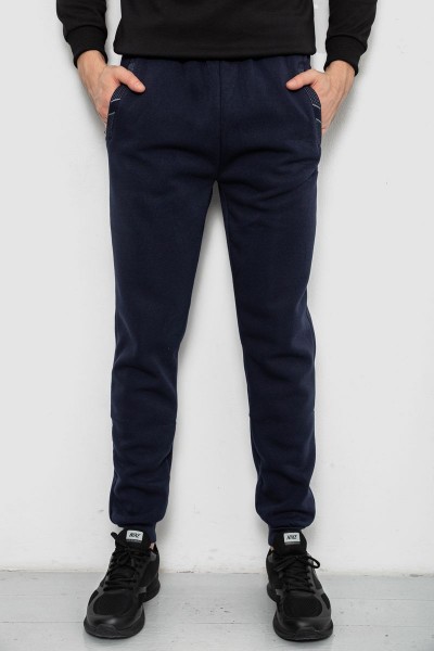 Спортивные штаны мужские на флисе, цвет синий, 244R41553