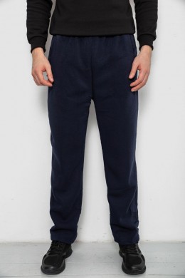 Спортивные штаны мужские на флисе, цвет синий, 244R41715