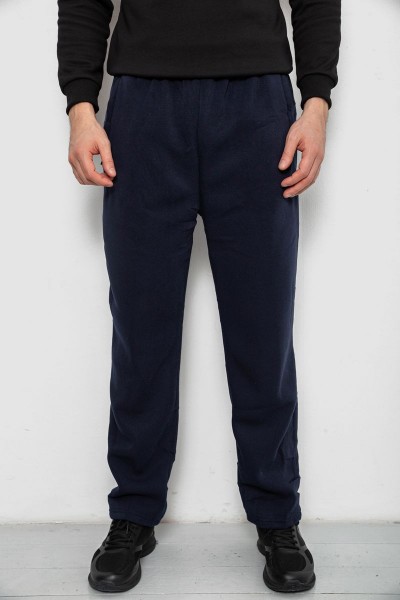 Спортивные штаны мужские на флисе, цвет синий, 244R41715