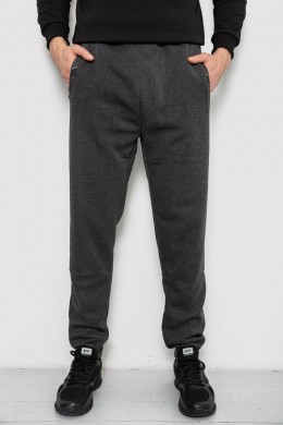 Спортивные штаны мужские на флисе, цвет серый, 244R41553