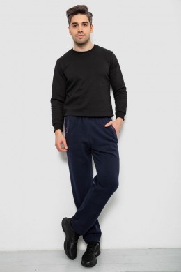 Спортивные штаны мужские на флисе, цвет синий, 244R41597
