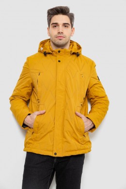 Куртка мужская демисезонная с капюшоном, цвет желтый, 244RL9159AL