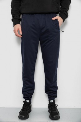 Спортивні штани чоловічі, колір синій, 244R435