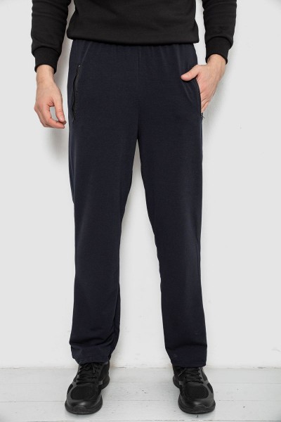 Спортивные штаны мужские однотонные, цвет темно-синий, 244R41277
