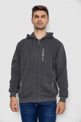 Кофта мужская на флисе с капюшоном 244R2563, цвет Темно-серый