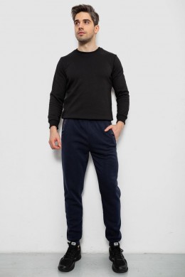 Спортивные штаны мужские на флисе, цвет синий, 244R41553