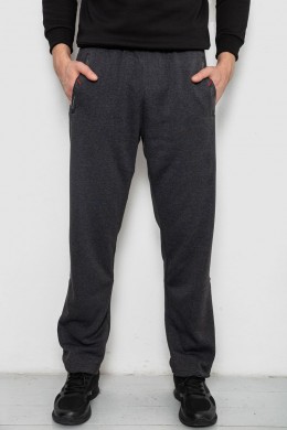 Спортивные штаны мужские на флисе, цвет темно-серый, 244R41753
