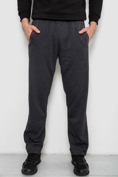 Спортивные штаны мужские на флисе, цвет темно-серый, 244R41753