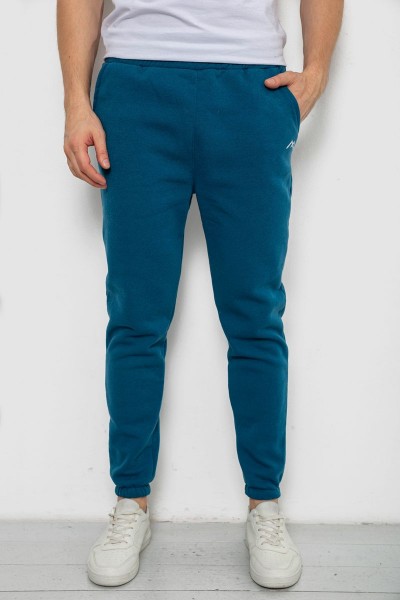 Спортивные штаны мужские на флисе, цвет изумрудный, 238R57256