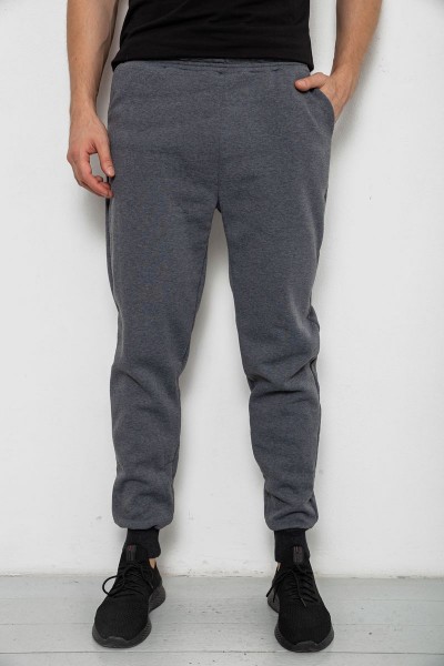 Спортивные штаны мужские на флисе, цвет серый, 238R56910-5