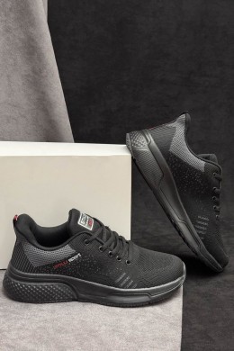 Кроссовки мужские демисезонные, цвет черно-серый, 248RH272