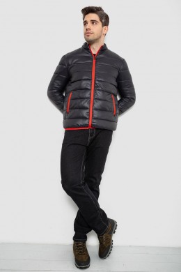 Куртка мужская демисезонная 244RL616, цвет Черный