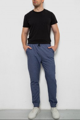 Спортивные штаны мужские на флисе, цвет джинс, 238R135