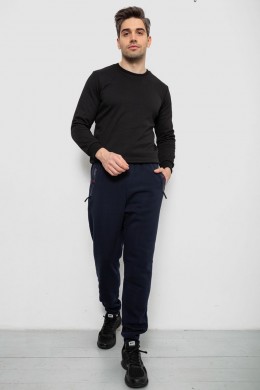 Спортивные штаны мужские на флисе, цвет синий, 244R41558