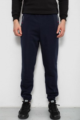 Спортивные штаны мужские на флисе, цвет синий, 244R41558
