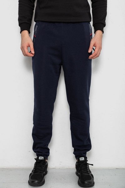 Спортивные штаны мужские на флисе, цвет синий, 244R41558