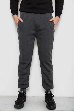 Спортивные штаны мужские на флисе, цвет серый, 244R6120