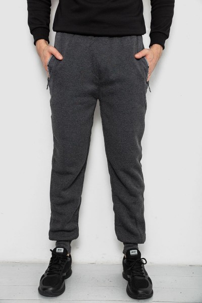 Спортивные штаны мужские на флисе, цвет серый, 244R6120