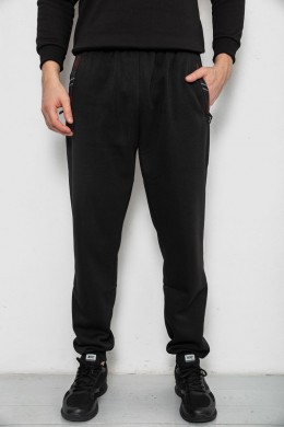 Спортивные штаны мужские на флисе, цвет черный, 244R41748